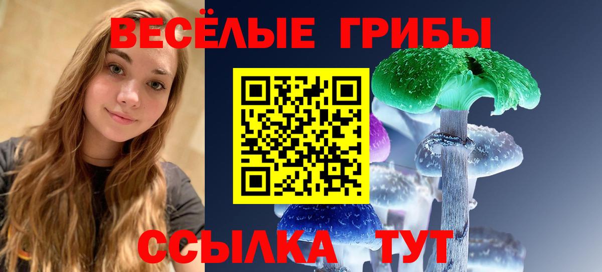 Псилоцибиновые грибы прущие грибы  Вход с VPN  Кострома 