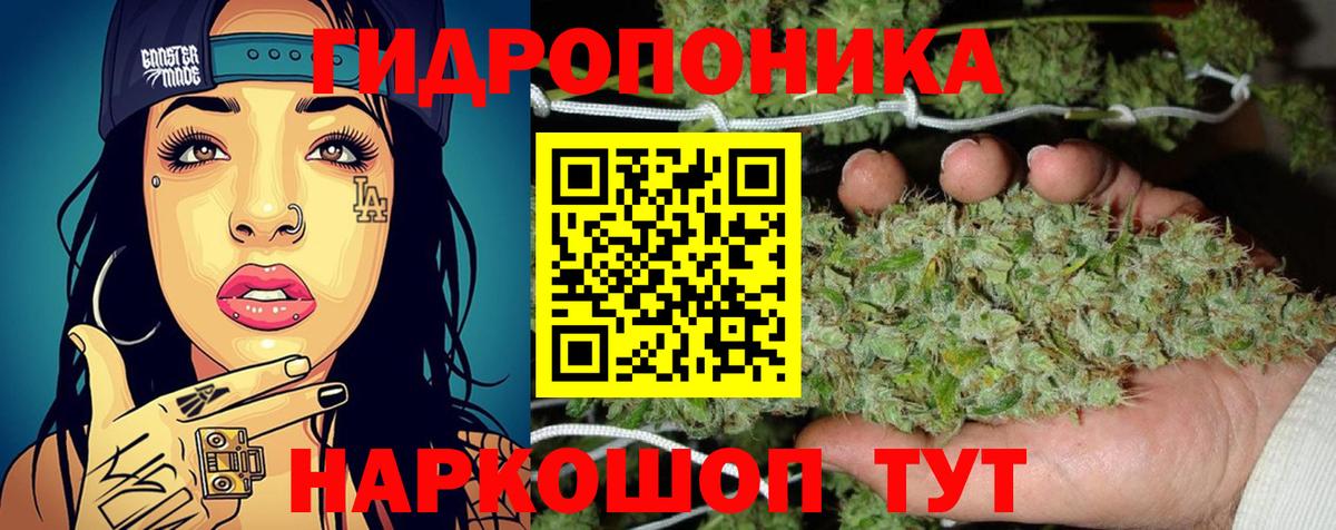 Бошки марихуана AK-47  Шишки марихуана сатива  Вход с VPN  Каннабис VHQ  Кострома 